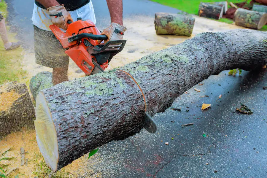 Affordable Emergency Tree Removal Memphis, TN Affordable Emergency Tree Removal Memphis, TN