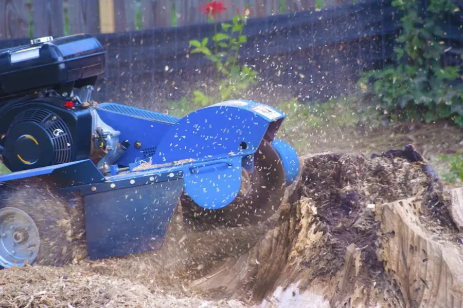 Experienced Stump Grinding Service Memphis, TN Experienced Stump Grinding Service Memphis, TN