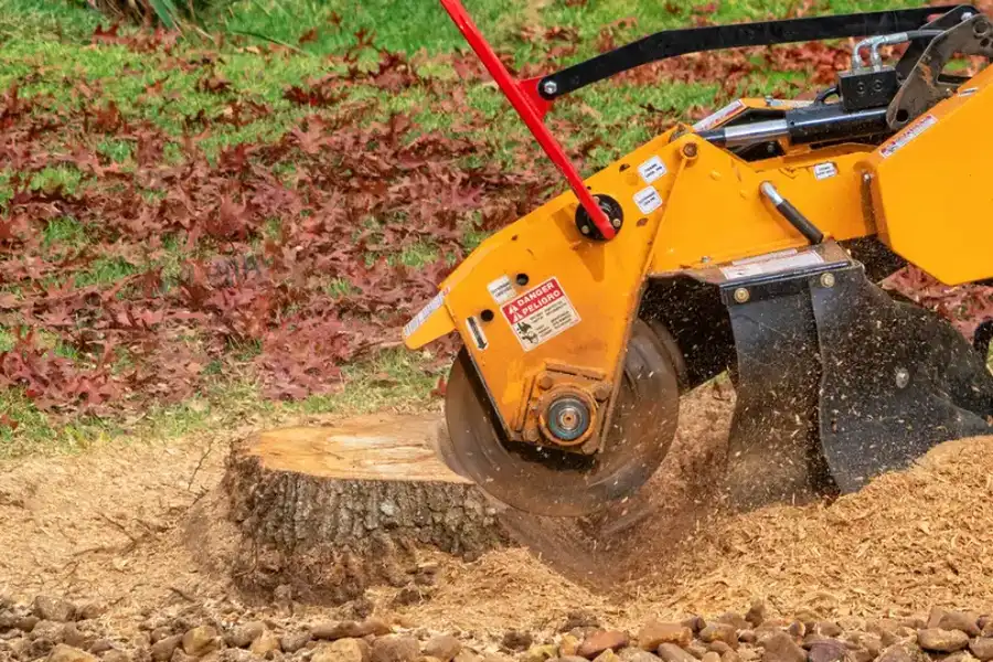 Reliable Stump Grinding Service Memphis, TN Reliable Stump Grinding Service Memphis, TN