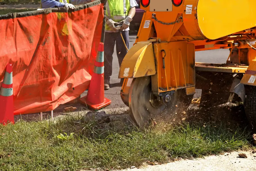 Reputable Stump Grinding Service Memphis, TN Reputable Stump Grinding Service Memphis, TN
