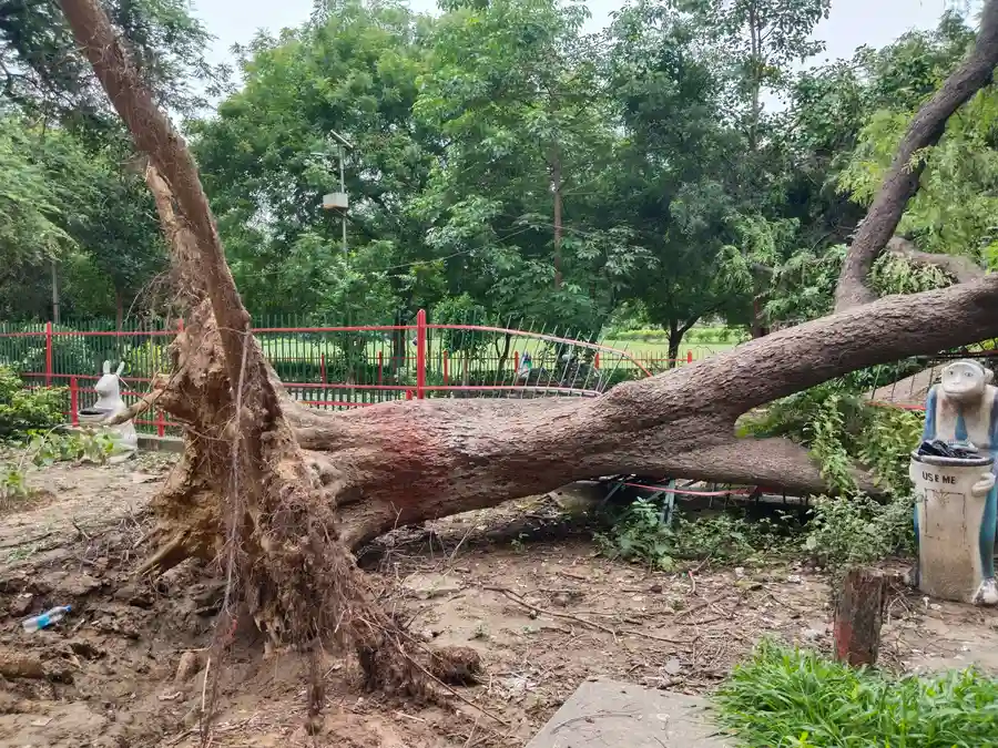 Top-rated Emergency Tree Removal Memphis, TN Top-rated Emergency Tree Removal Memphis, TN
